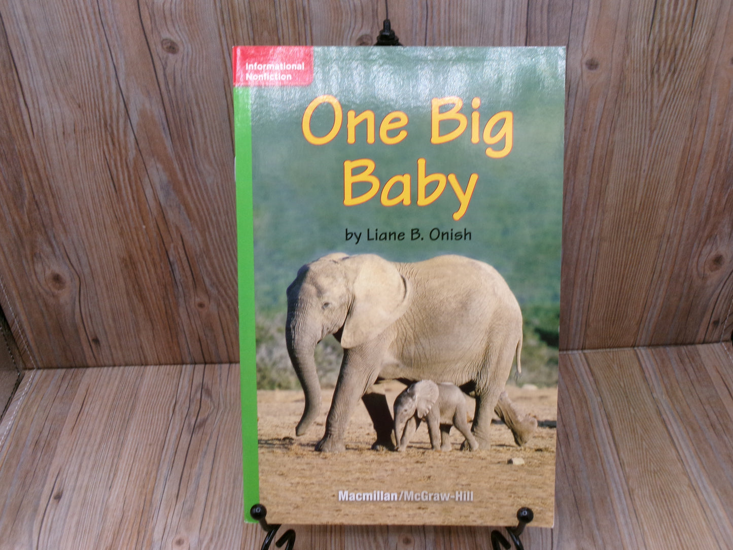 One Big Baby by Liane B Onish