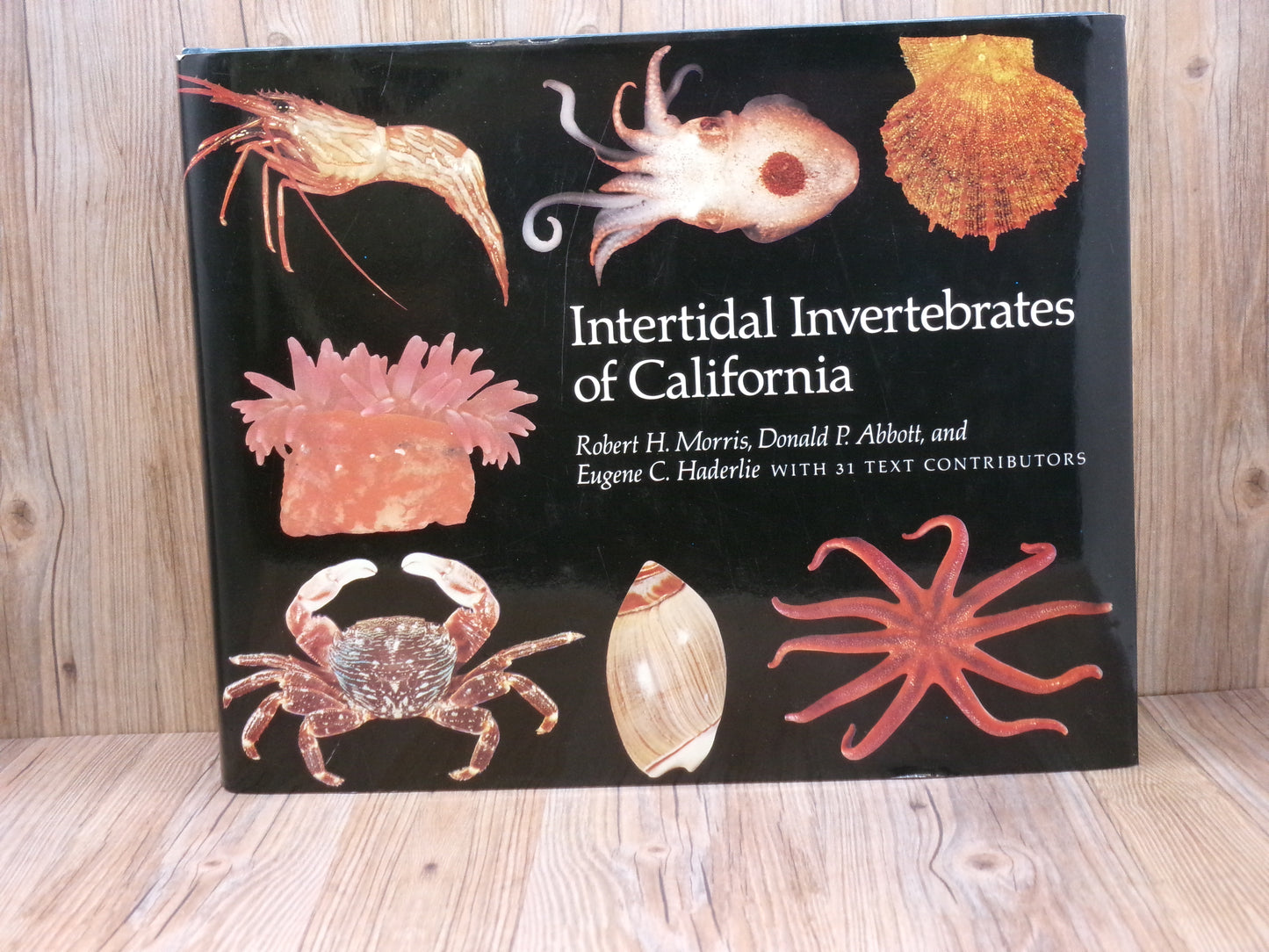 Intertidal Invertebrates of California By Robert H. Morris, Donald P. Abbot, and Eugene C. Haderlie