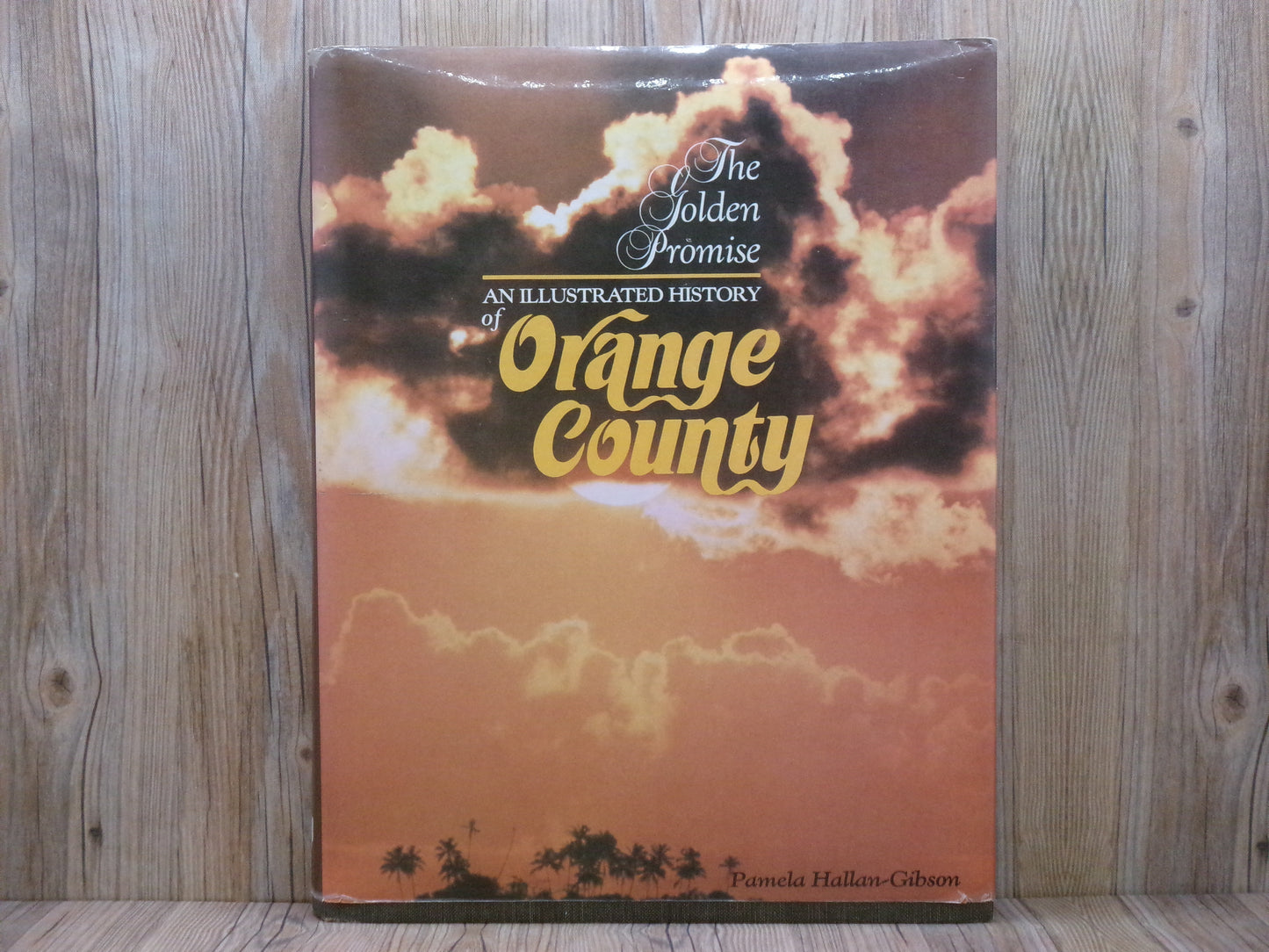 The Golden Promise: An Illustrated History of Orange County by Pamela Hallan-Gibson