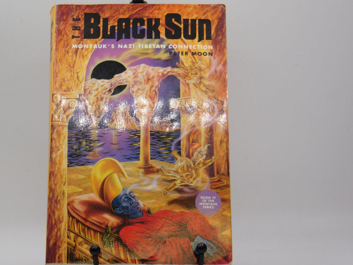The Black Sun by Peter Moon