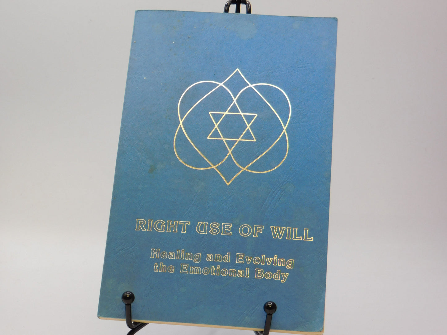 Right Use of Will by Ceanne DeRohan