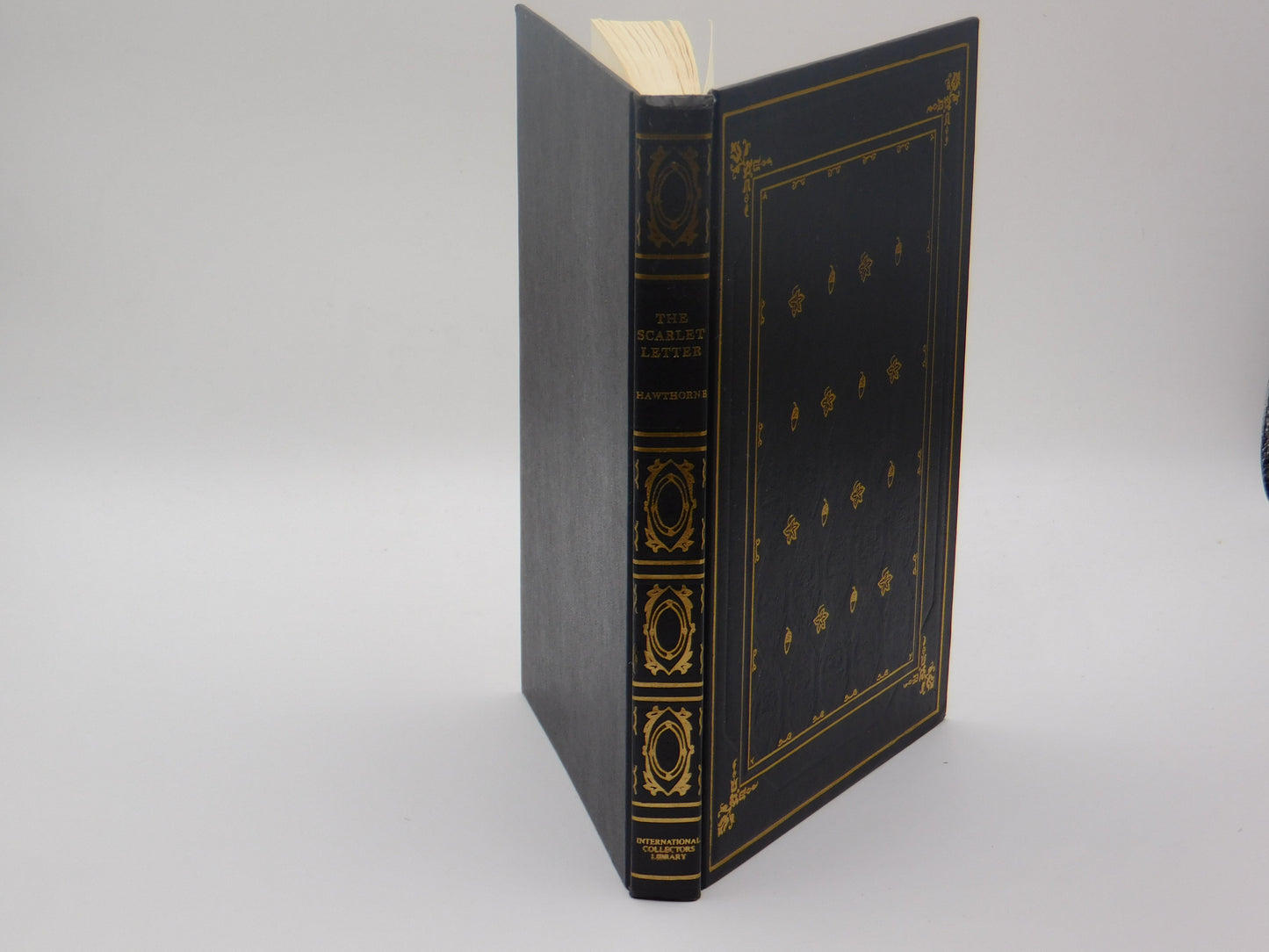 The Scarlet Letter by Nathaniel Hawthorne