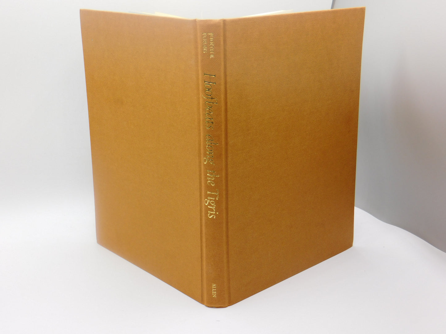 Hoofbeats Along the Tigris by Judith B. Forbis