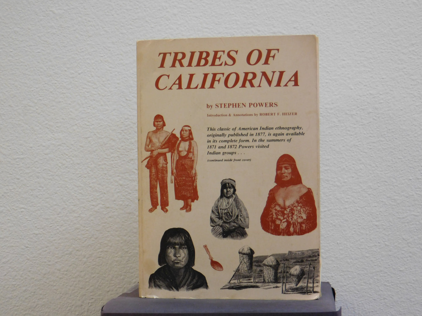 Tribes of California by Stephen Powers