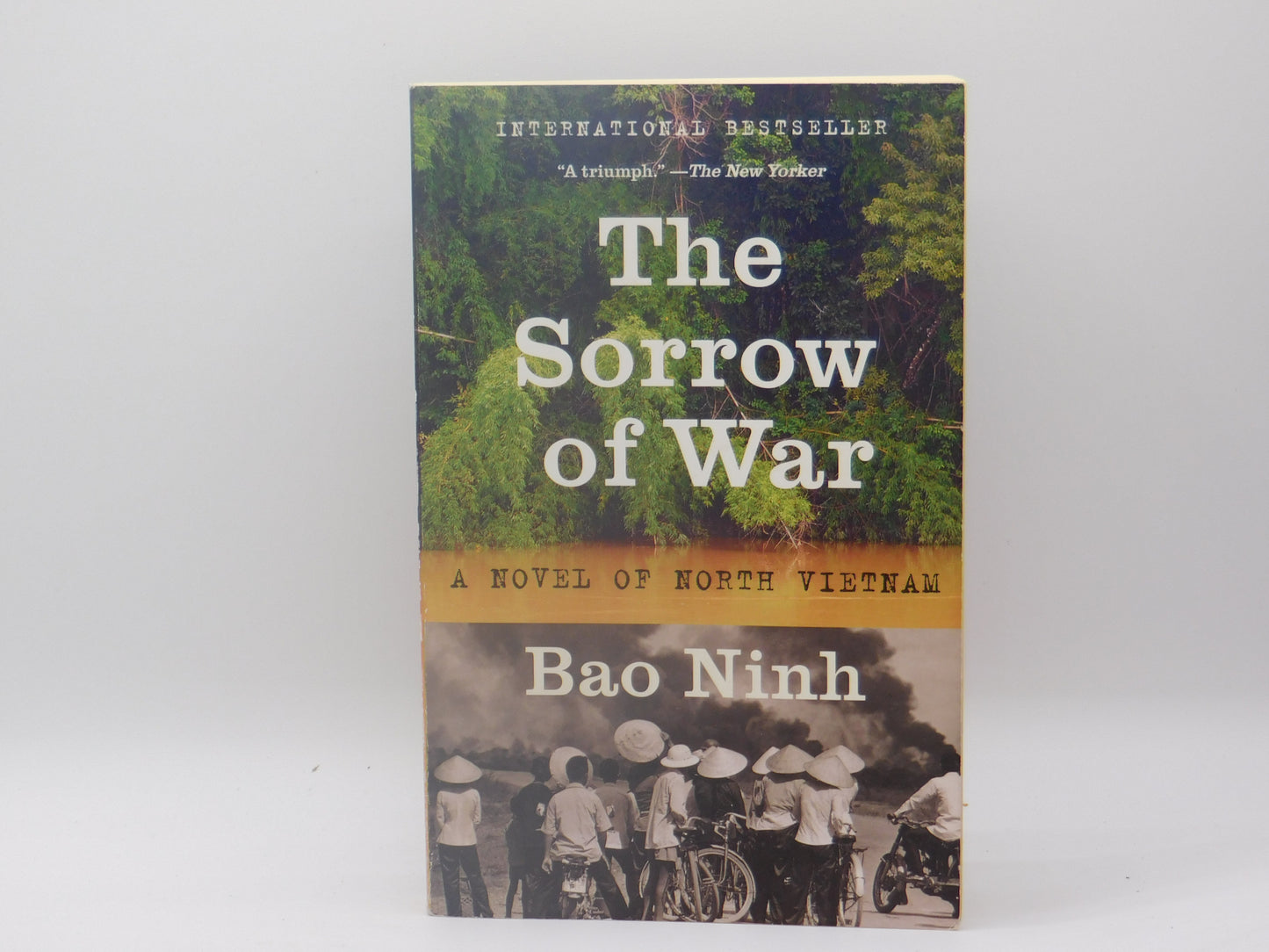 The Sorrow of War by Bao Ninh