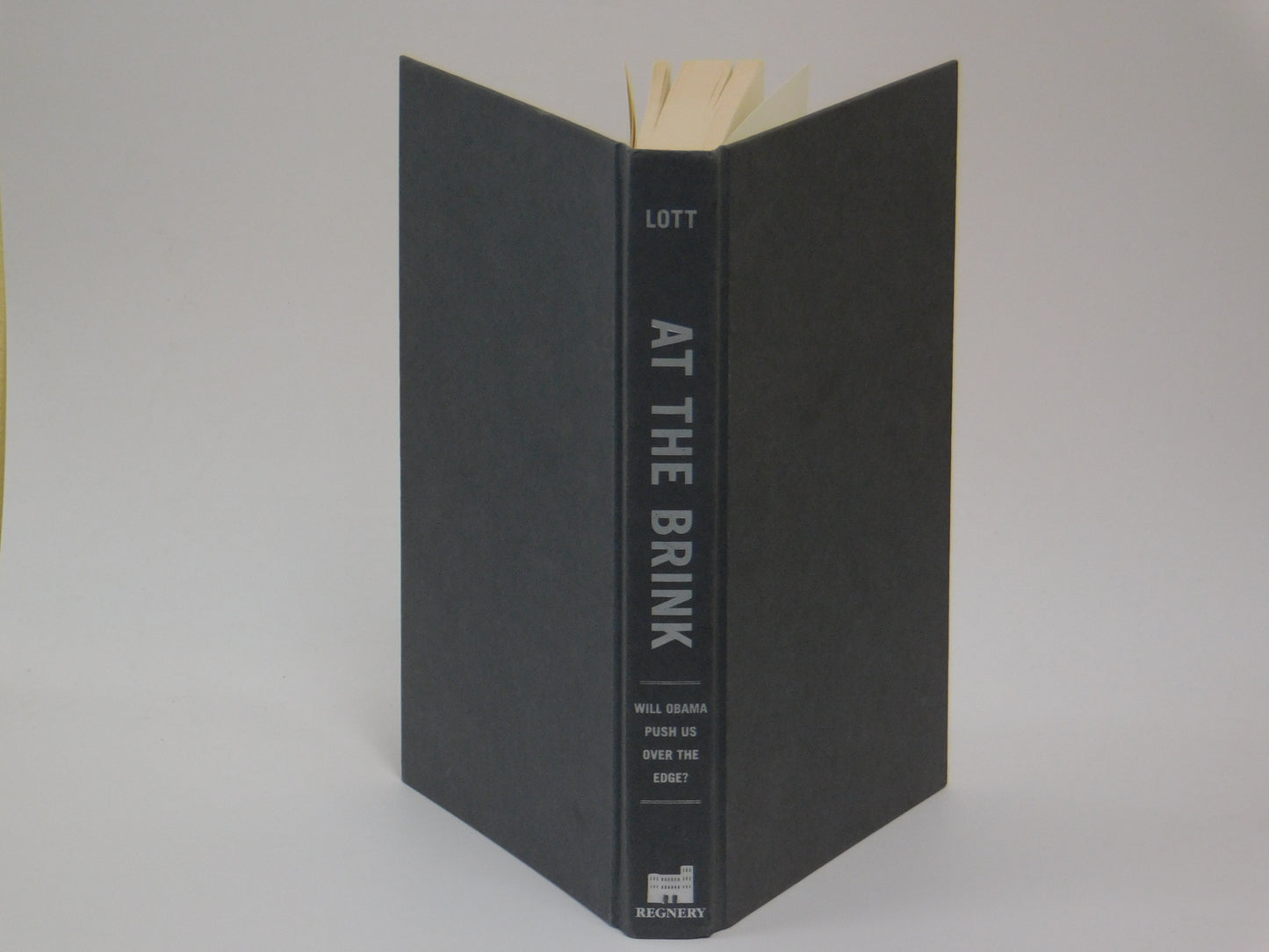 At the Brink by John R. Lott