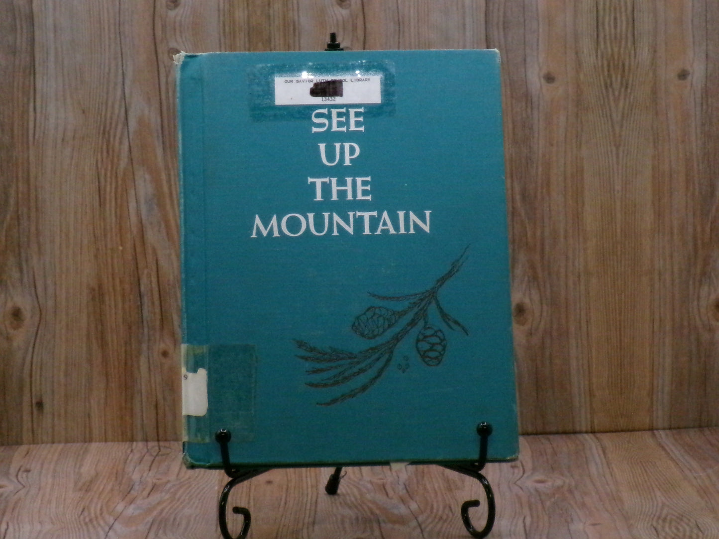 See Up the Mountain by Betty Morrow