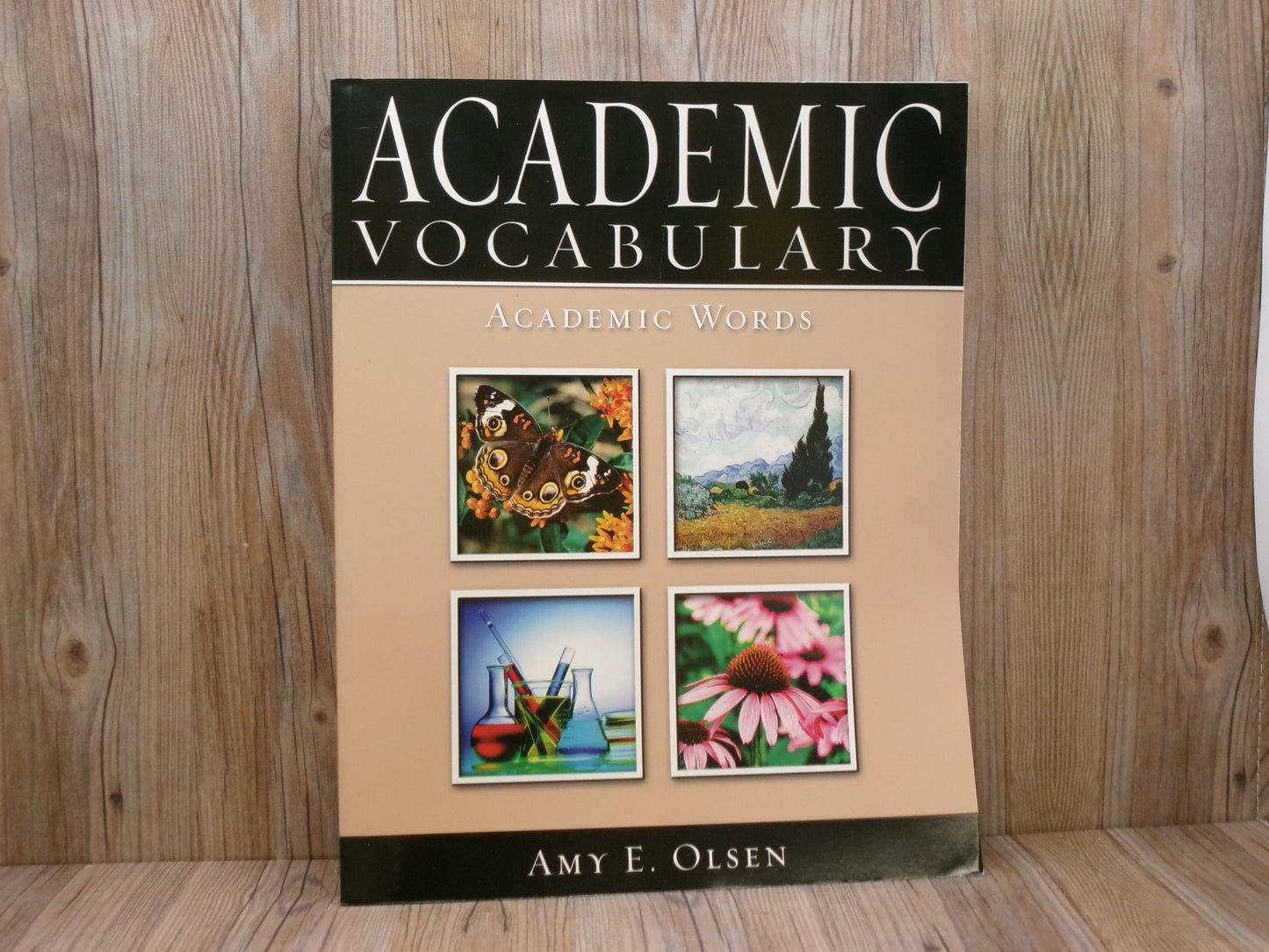 Academic Vocabulary: Academic Words 1st Edition by Amy E. Olsen