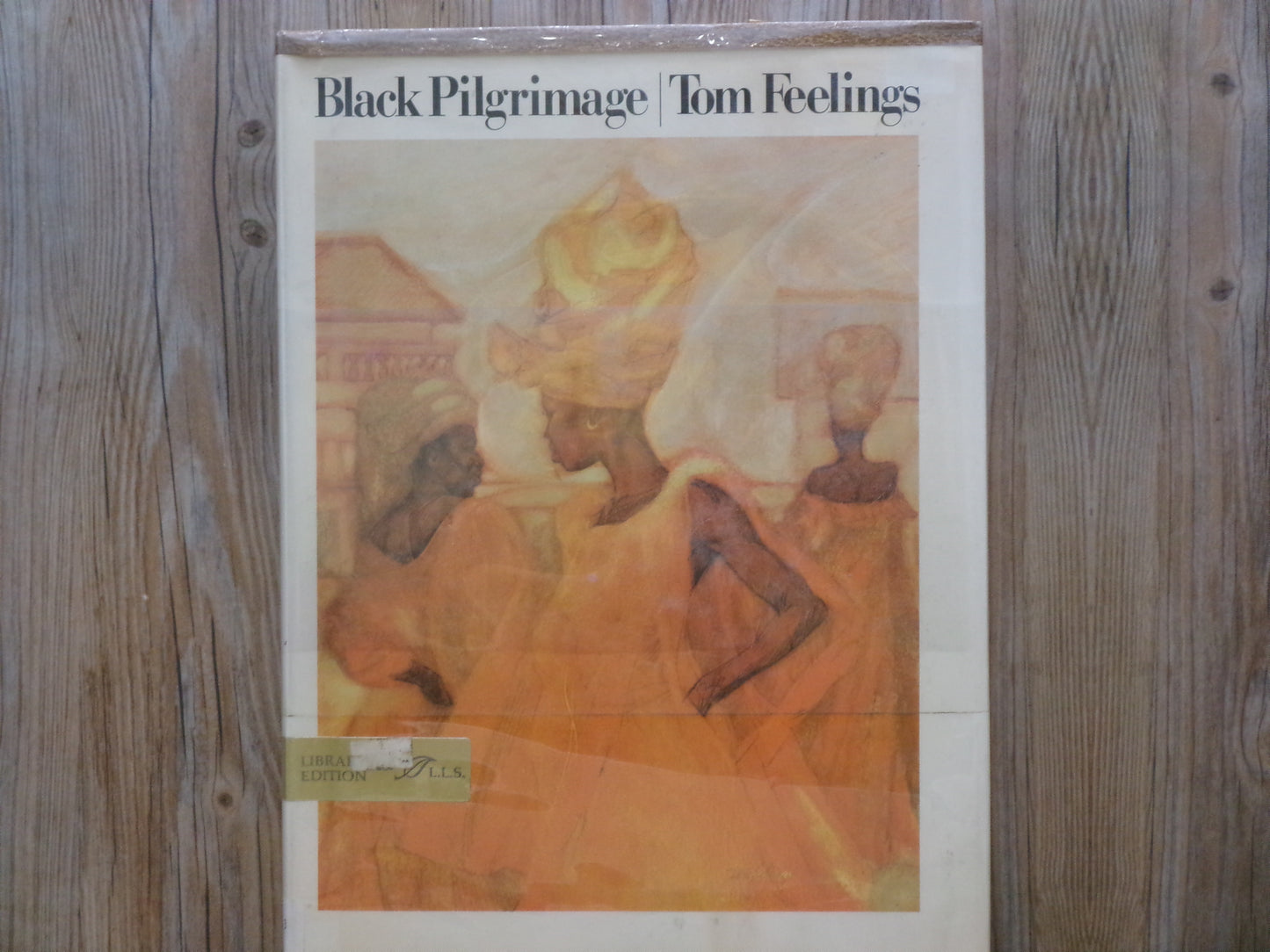 Black Pilgrimage by Tom Feelings