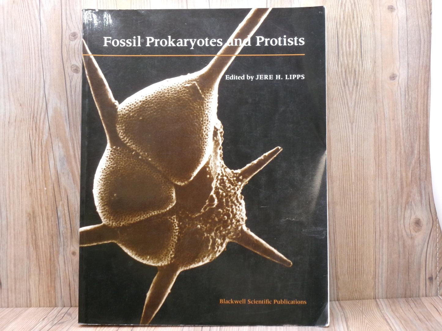 Fossil Prokaryotes and Protists By Jere H. Lipps