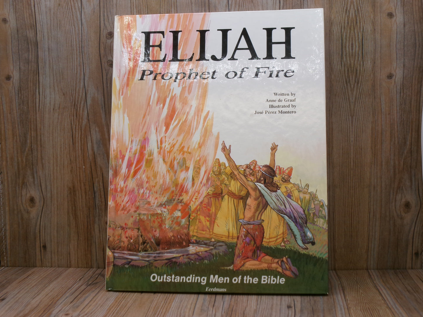 Elijah Prophet Of Fire By Anne De Graaf