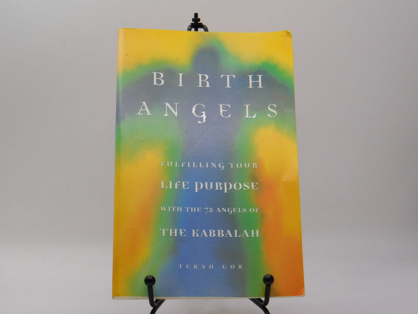 Birth Angels by Terah Cox