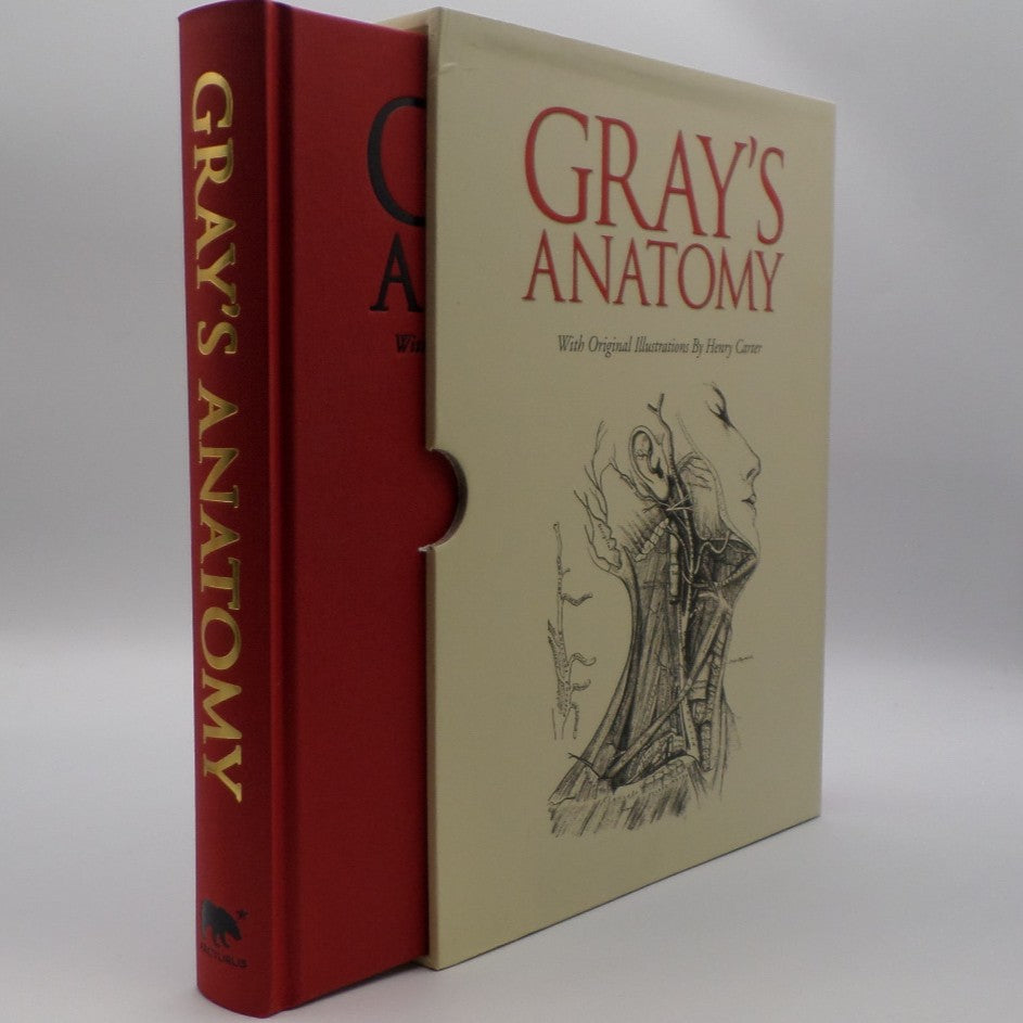 Gray's Anatomy