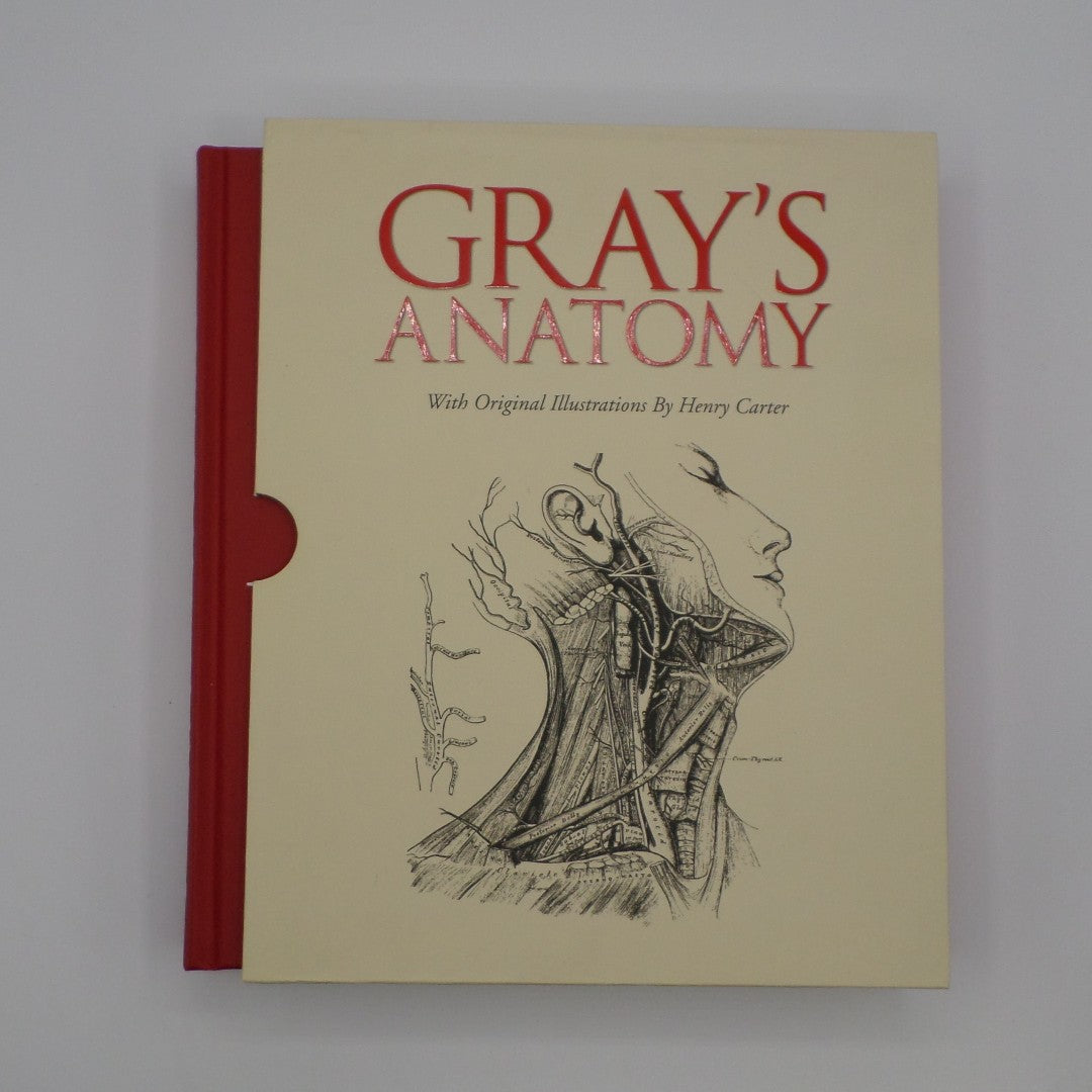 Gray's Anatomy