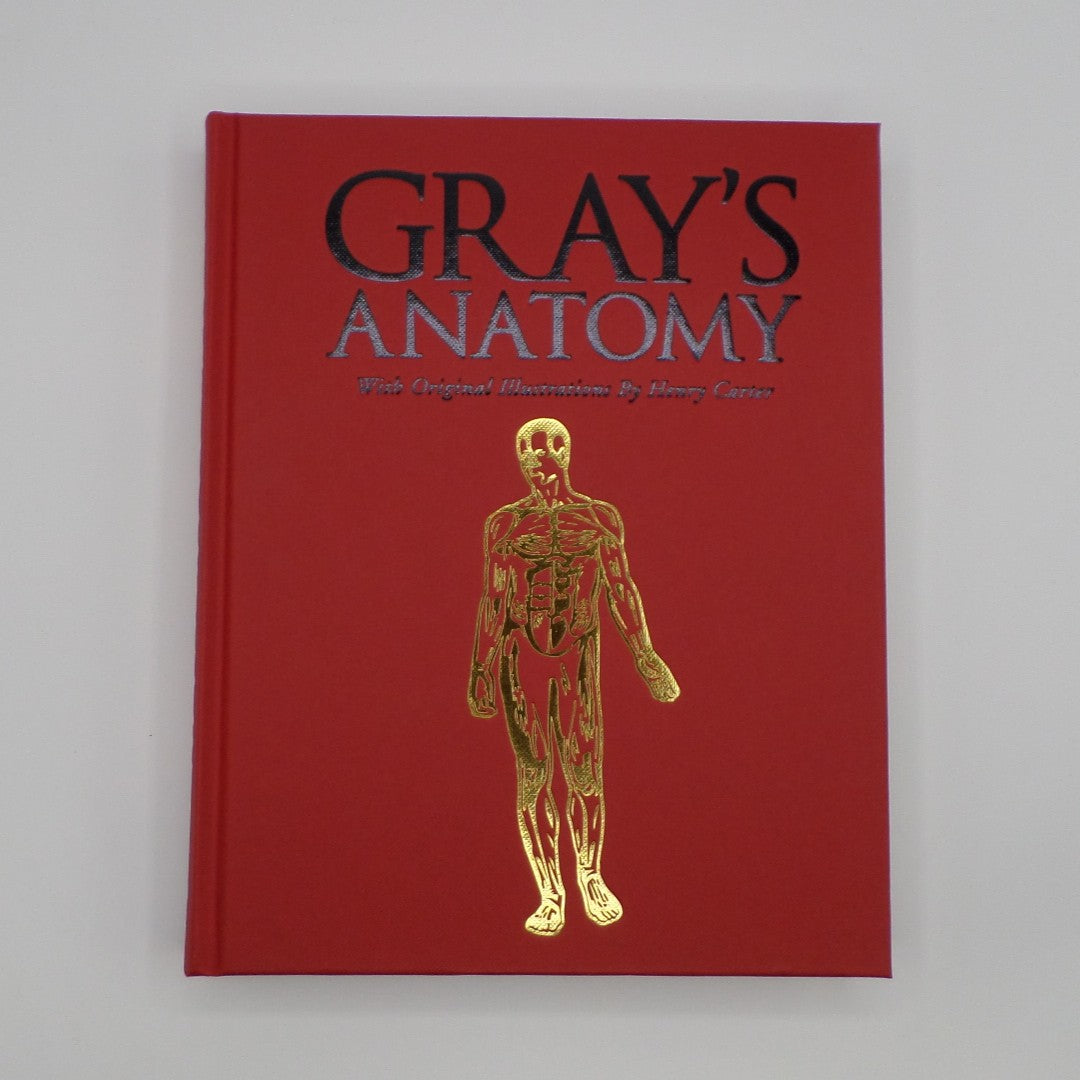 Gray's Anatomy