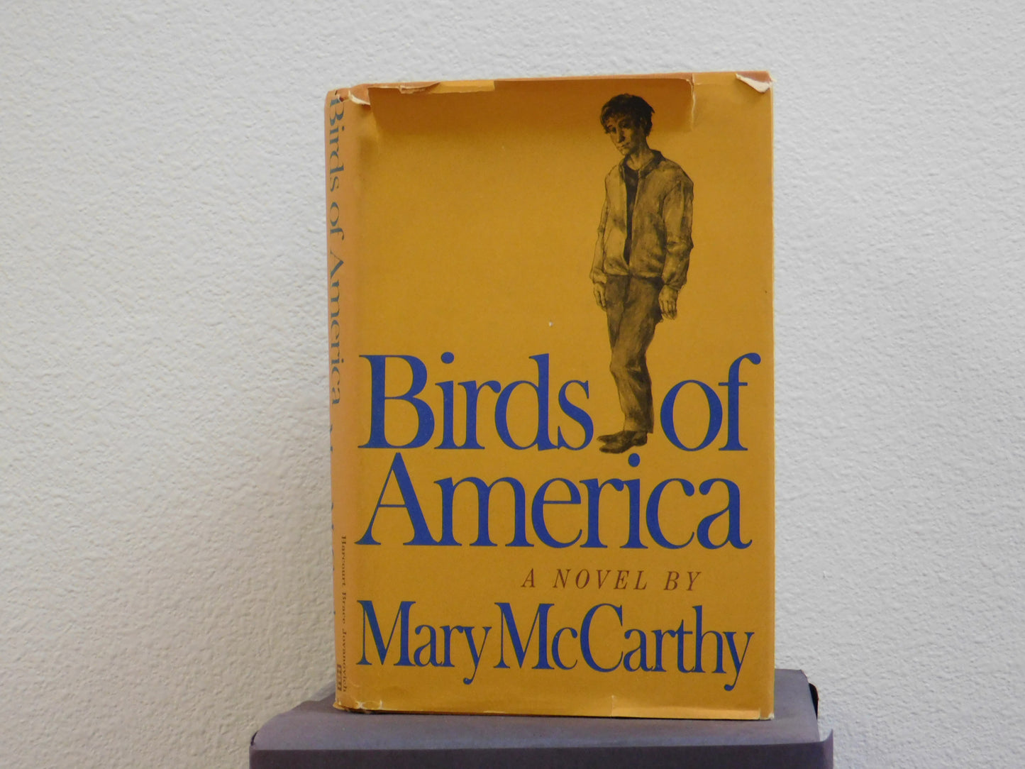 Birds of America by Mary McCarthy