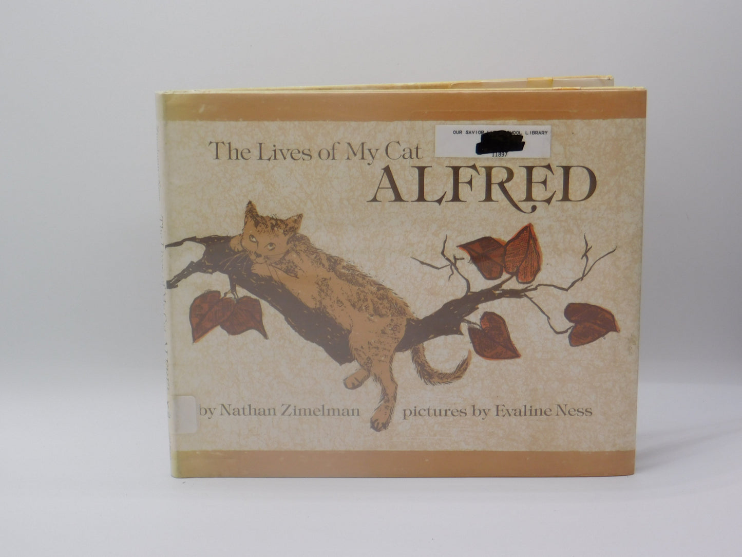 The Lives of My Cat Alfred by Nathan Zimelman